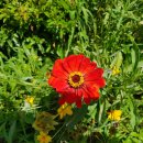 마산문학관 이미지