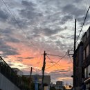 버디버디(주) | [수영기록] 강습수영 고급반 87일차 기록 (핀,접영과 친구들 10바퀴, 버디버디)