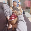 피자스쿨김해구산점 | “그” 만 먹겠습니다 ..