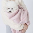 인디퍼피 쇼핑하우
