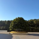 아난티 앳 부산 코브호텔 식당가 | 👰‍♀️아난티 앳 부산 코브 웨딩 참석 후기 – 기장 바다 뷰에서 열린 꿈 같은 결혼식