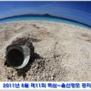 ☆ 8월 제11회 뚝심-울산정모 공지 ☆ (8월8일(월) 19:00) 이미지