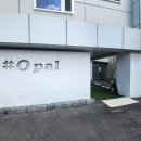 샵오팔
