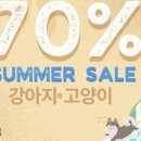 김해 강아지분양 고양이분양 똥강아지 이미지