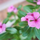 담양민박 이미지