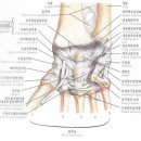 염기룡한의원 이미지