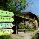 사철나무집민박 이미지