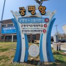 궁평항수산물직판장