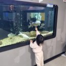 경기도 수원시 장안구 장안로 장안로458번길 | 수원 아이와 가볼만한 곳 총정리 : 3살 아이와 직접 다녀온 10곳