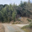 덕송태양광발전소 이미지