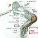 굿모닝GYM 이미지