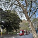 센트럴샵 세차타운 | 9월 호주 시드니 여행 DAY3: 페더데일/신전/시드니대학교/캄포스커피/뉴타운/천문대일몰/그라나