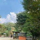 세인목장 이미지