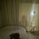 벨라루나 | 보름달 감성 벽걸이 무드등 찾는다면, 벨라루나 무타공 달 무드등 달조명 후기