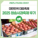 청송 | 대한민국 대표축제 2025 청송사과축제 후기