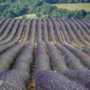 소수농장 이미지