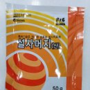 숭인약국 이미지