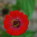 박달재휴양림 이미지