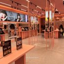 하파크리스틴 압구정로데오점 이미지