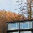 두지네 윗집 이미지