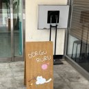 [동명동카페/동명동고양이카페/애묘카페]::떼구루루 솔직후기