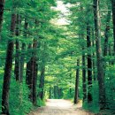 느랭이골자연리조트 이미지