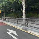 신서중학교 앞 이미지