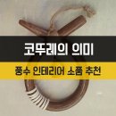 코뚜레 - 북구 신답1길 9 | 코뚜레