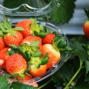 송축농장 이미지