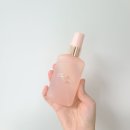 미화스테이 | 바디홀릭 스테이누디 바디미스트 향 추천 내돈내산 리뷰