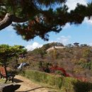 청풍발리호텔 이미지