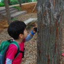 큰빛자연생태어린이집 이미지