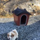 충주시 공설화장장(하늘나라) 화장실 1층A | 몽골로 갈 필요가 없었던 남한강 승마장 강변 외승 후기 (서울 경기 승마 초급 중급 고급 취미생활 동호회)