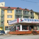 띠앗머리 Daum카페