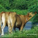 무릉2리경로당 이미지