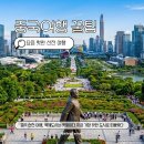 등소평 | 중국 선전 여행, 복제도시는 옛말이다 지금 가장 핫한 도시로 떠올랐다