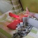 광희한의원 이미지