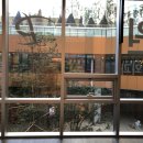 피엘의원 이미지