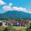 르꼼떼블루 이미지