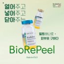 바이오필 네이버블로그
