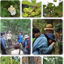 [모집] 숲생태 나무아카데미 제5기 교육생 모집(수정) 이미지