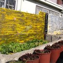 꿈이있는마을 이미지