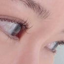 네일,보와 | 속눈썹펌 안하던 내가 추천하는 속눈썹펌 언더펌 맛집, 내돈내산 찐 후기(덕천 네일 보와)