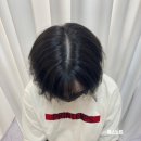 닷앤닷스칼프 | [의정부 SMP] 포인트닷스칼프&립, SMP 2회차 후기