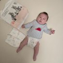 👶🏻 신생아 기저귀 고민 끝! 모모래빗 기저귀 리얼 후기 🍼 | 출산선물 추천 🎁