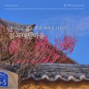 칠곡 해은고택 | 대구근교 매화 칠곡 왜관 매원마을 국가등록문화유산 산책하기 좋은 곳