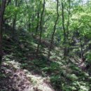 고비농장 이미지