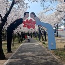 꽃보라동산 이미지