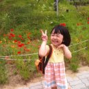 송주미용실 - 달성군 화원로1길 46-4 | 송주미용실