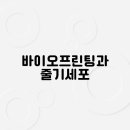 본프린팅